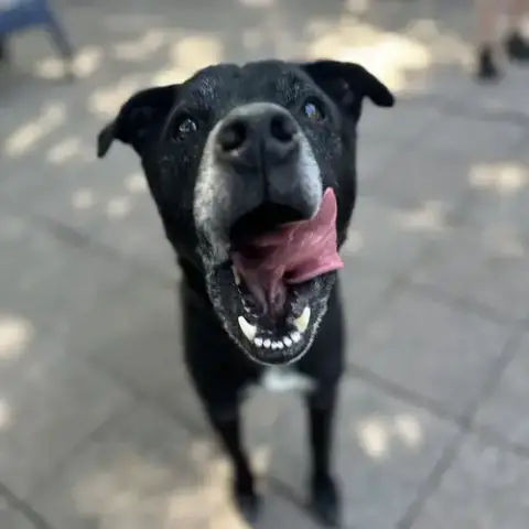 Melvin photo 3