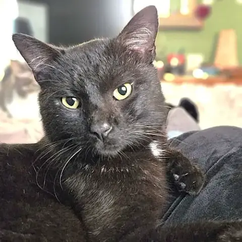 Eddie photo 5
