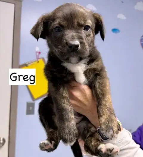 Greg photo 5