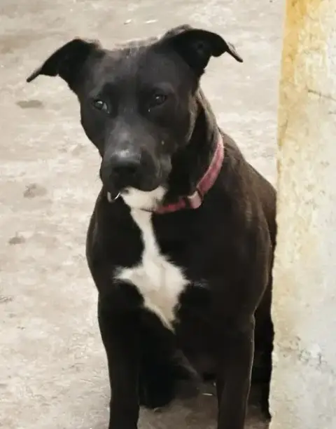 Tess photo 3