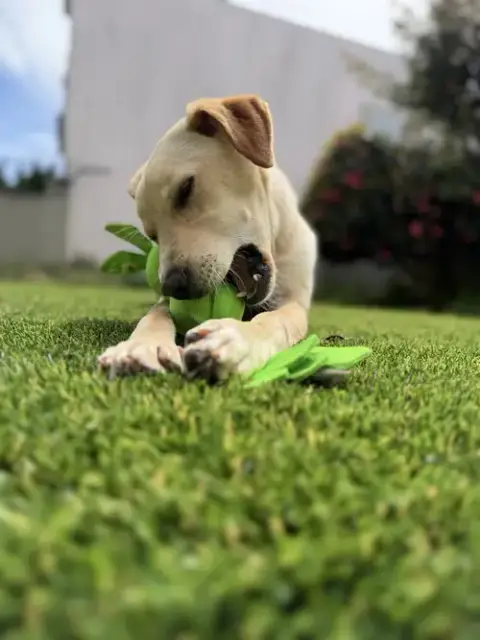 Penelope photo 3