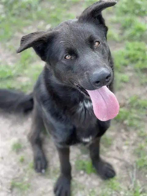 Sam