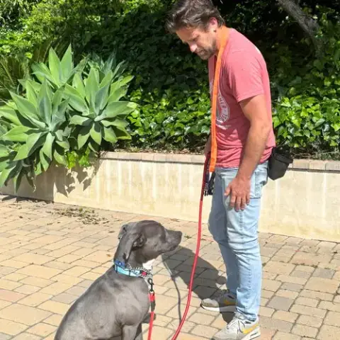 Scottie photo 5
