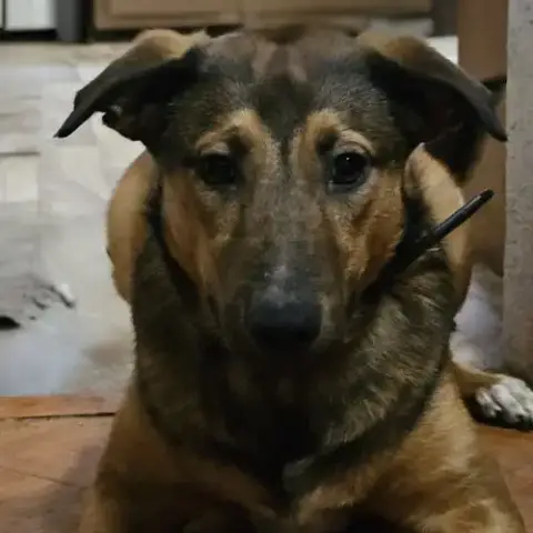 Buster photo 2