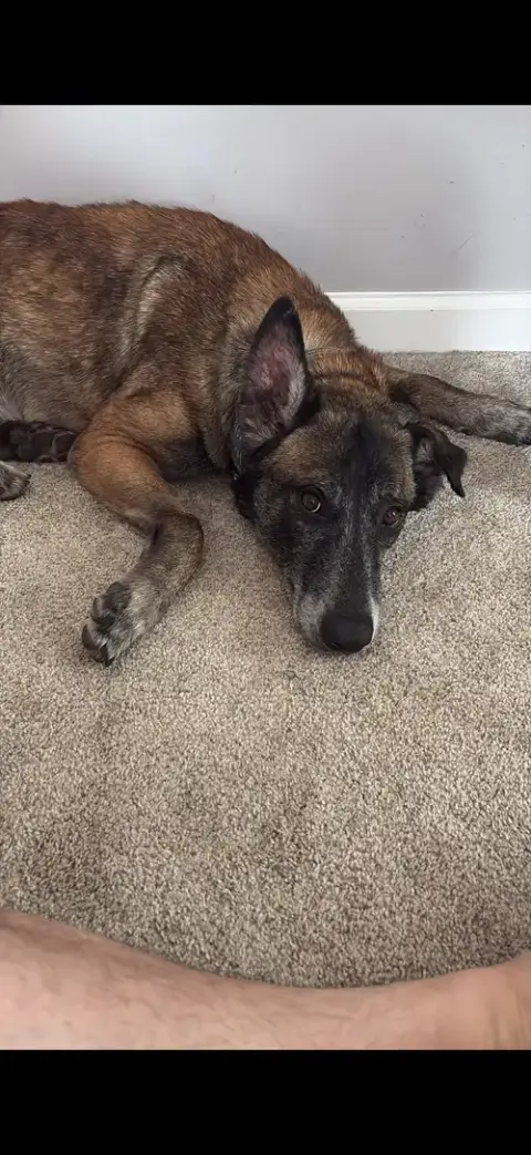 Millie photo 5