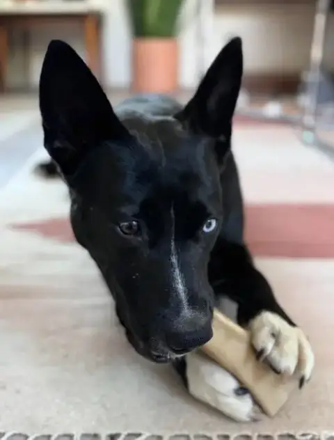 Elvira photo 2