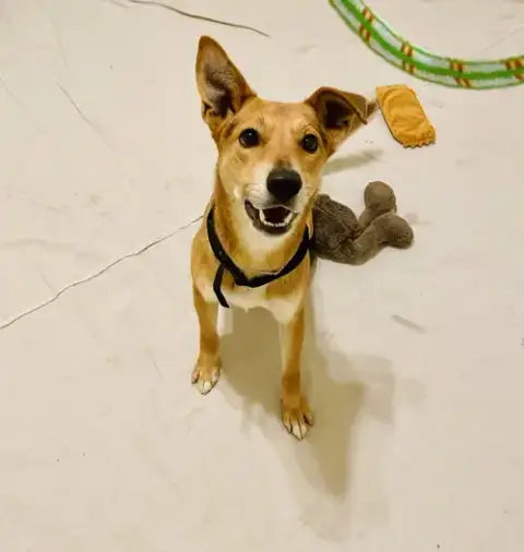 Nano