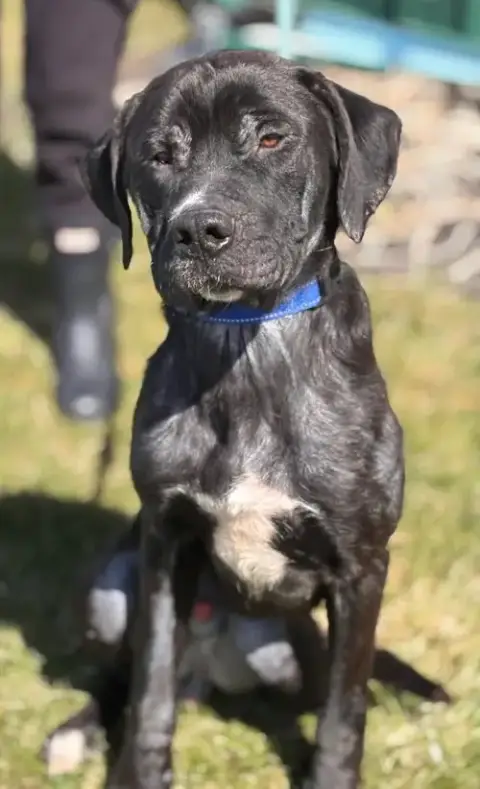 Sam