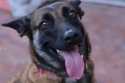Cheyenne photo 2