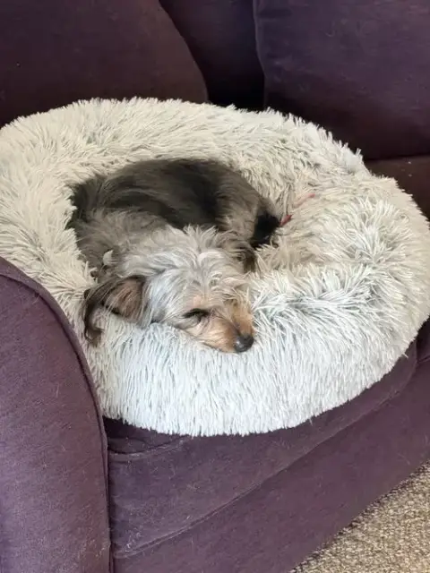 Suki photo 3