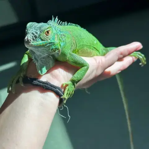 Creature photo 3
