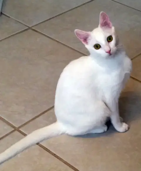 Ellie Mae photo 1