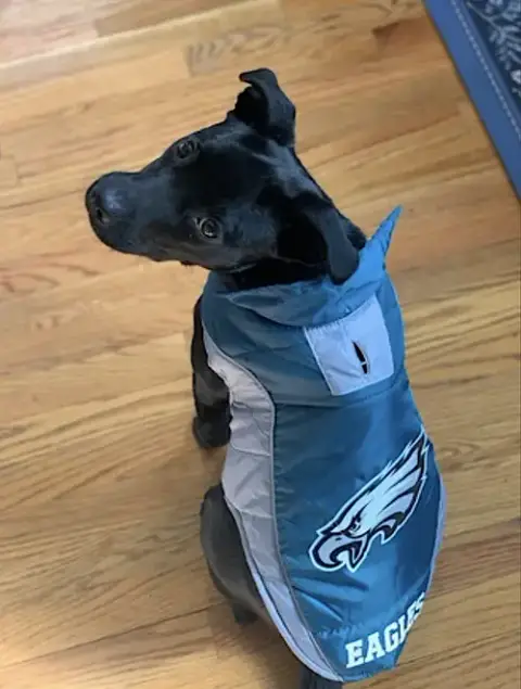 Riley photo 2