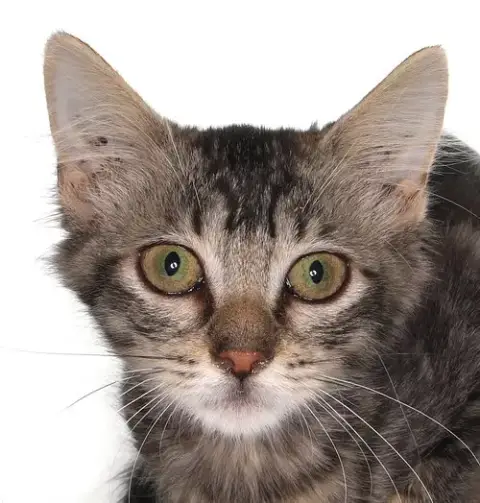 Sandra