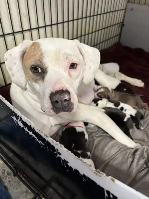 Lilly Aka Mama Queen photo 3