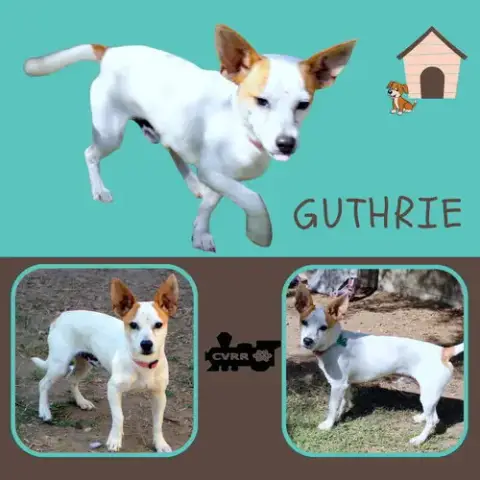 Guthrie