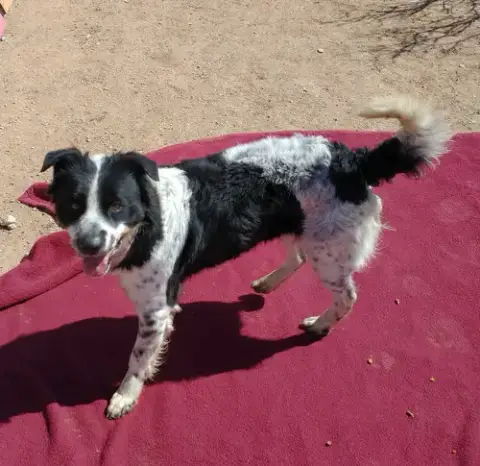 Jack Jack photo 3