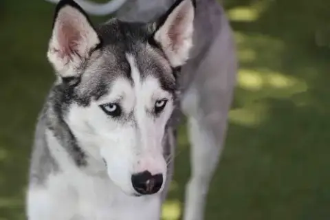 Delilah photo 3