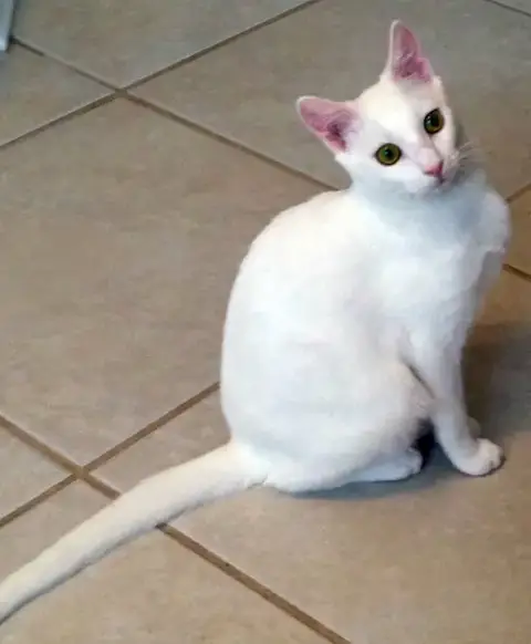 Ellie Mae photo 3