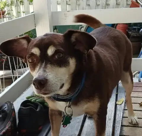 *Riley photo 3