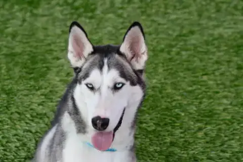 Delilah photo 4