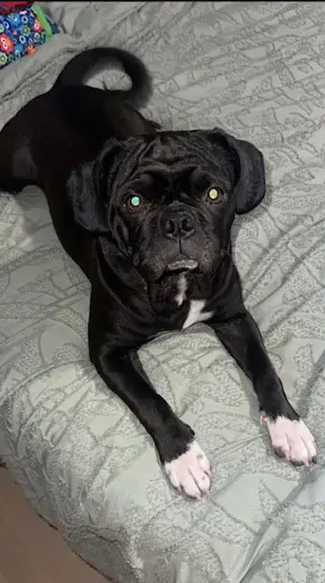 Freya