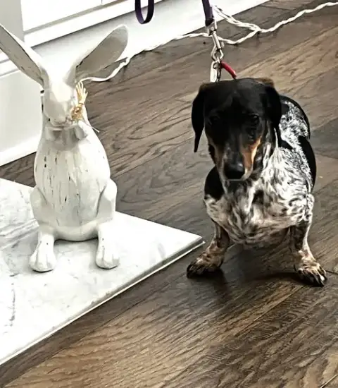 Rudy In Ga photo 3