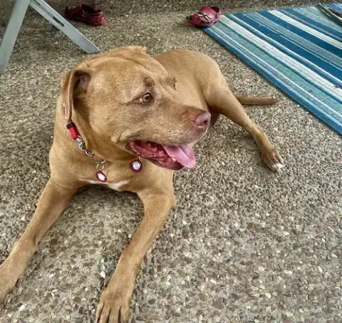 Ruby photo 2