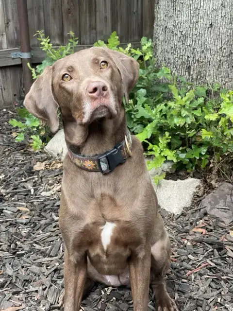 Ella Mae Roo