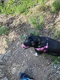 Daisy Girl photo 4
