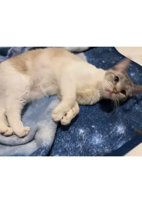 Luna photo 3