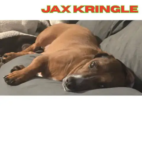 Jax Kringle photo 2