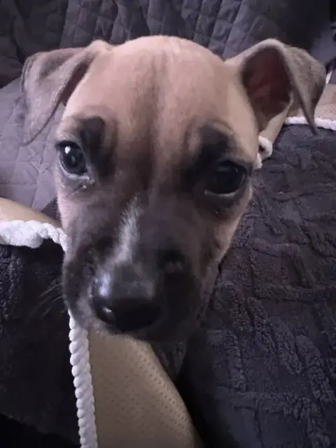 Marley photo 5