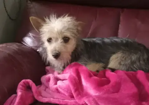Millie In Tx photo 5