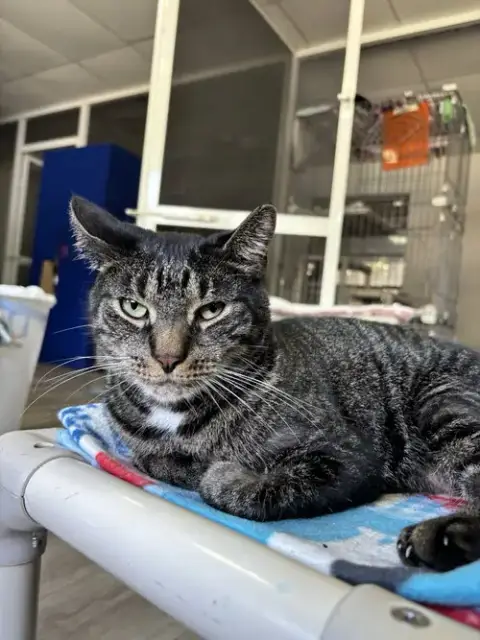 Ernie