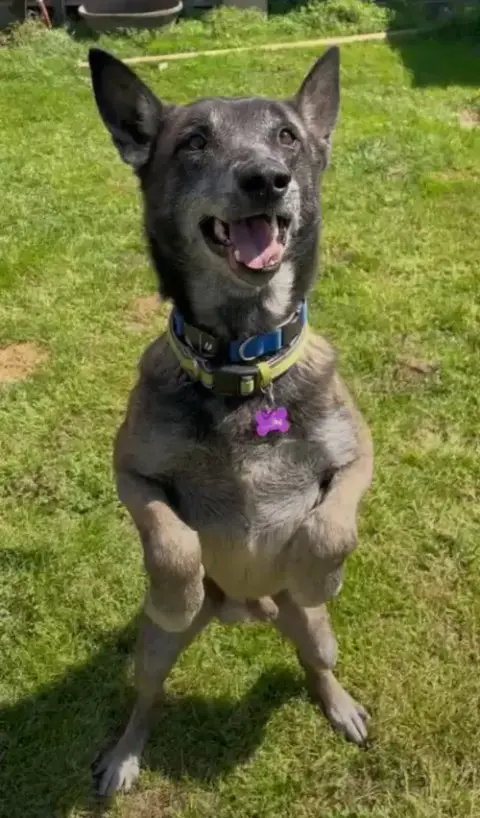 Clyde- Located In Oklahoma