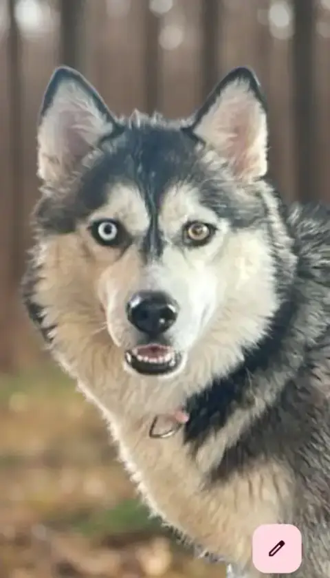 Kaya photo 2
