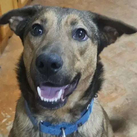 Buster