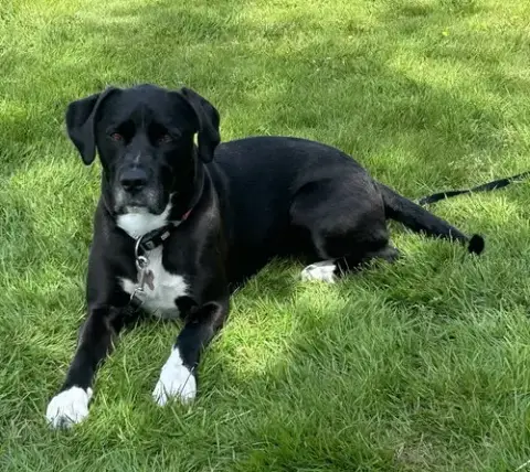 Lucy photo 4