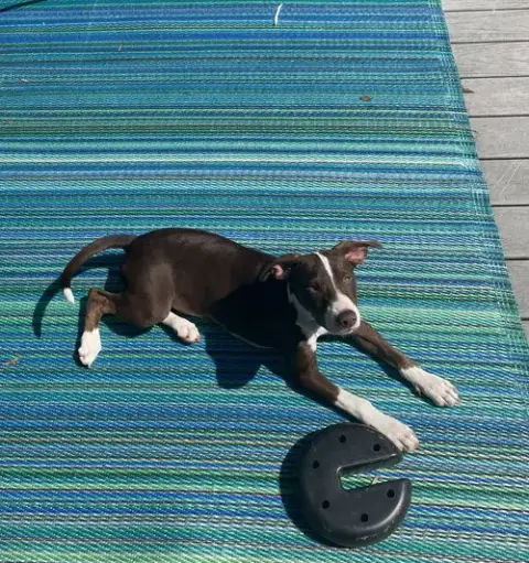 Lexi Lou photo 3