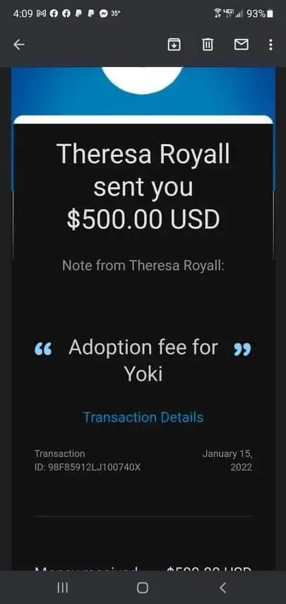 Yoki photo 2