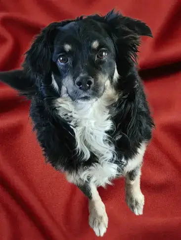 Layla Walworth Kramer photo 3