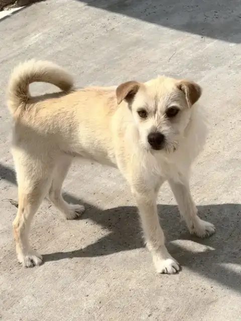Ella photo 2