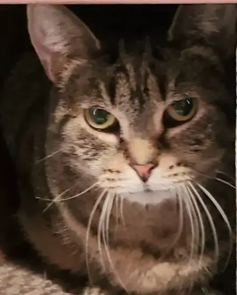 Lydia