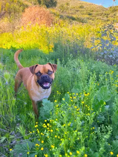 Arlo photo 5