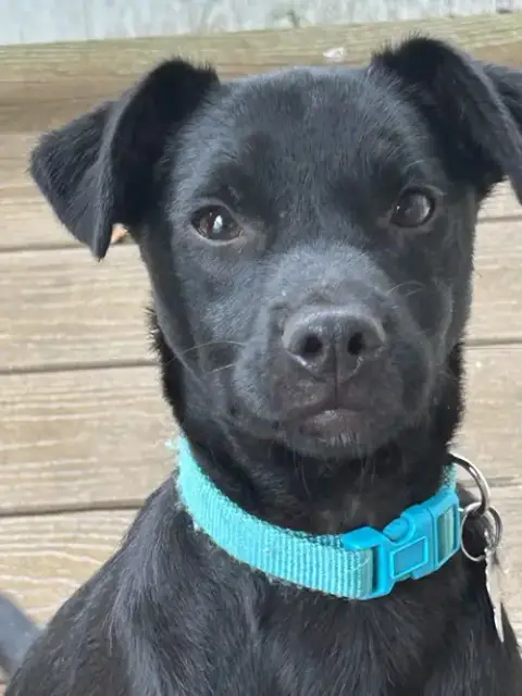 Ezra