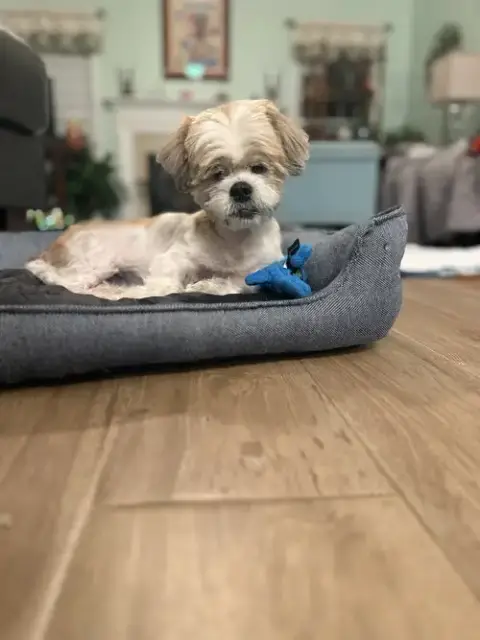 Ben