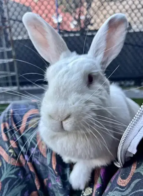 Matilda