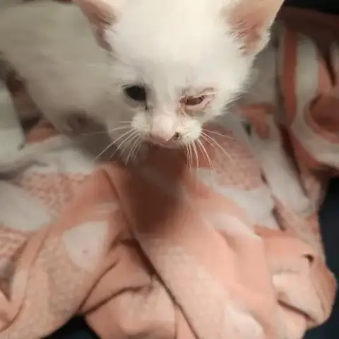 *Snuggles
