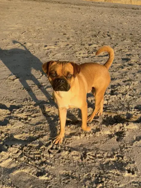 Arlo photo 2